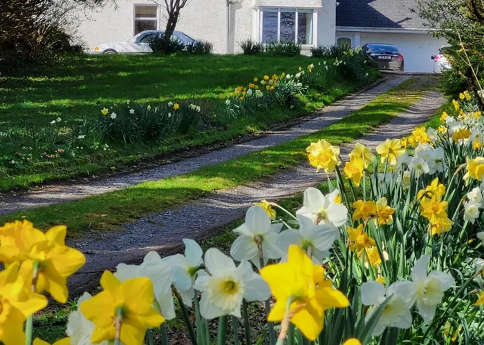 Bed & Breakfast Riverside 3*